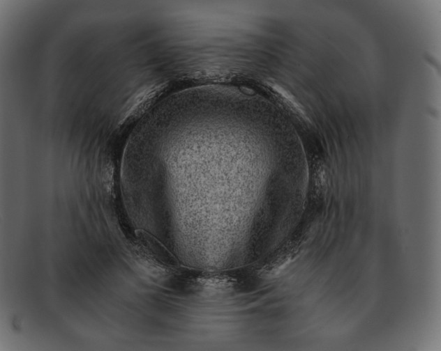 X0000091920693200709191340