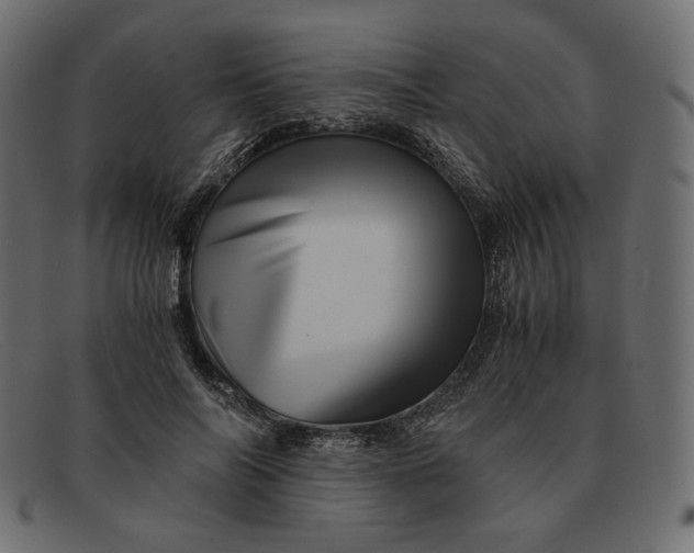 X0000091920694200709191340