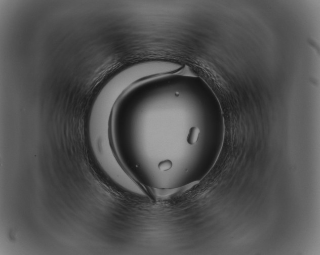 X0000091920696200709191340