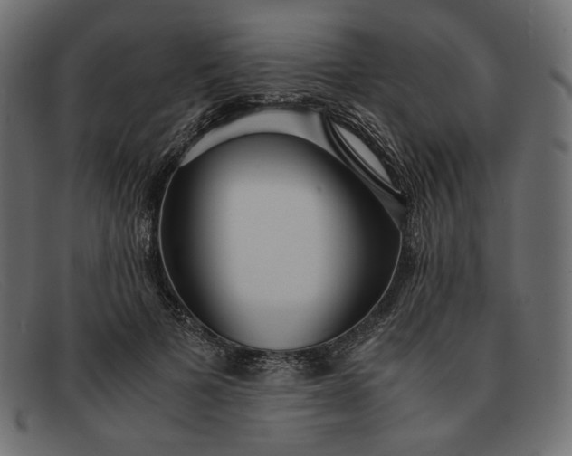 X0000091920697200709191340