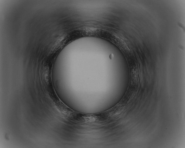 X0000091920698200709191340