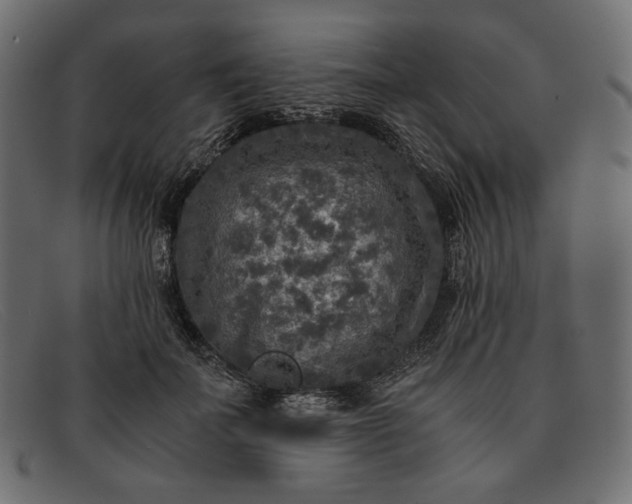 X0000091920699200709191340