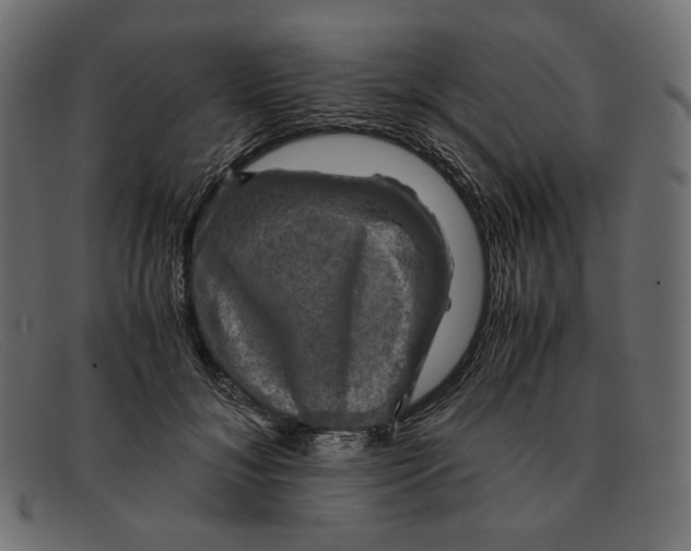 X0000091920700200709191340