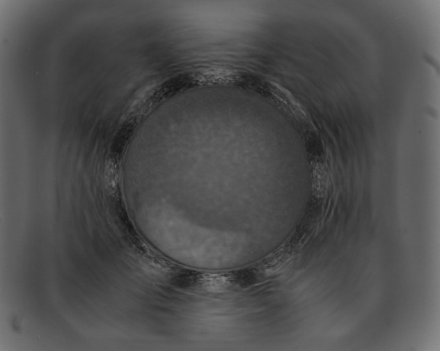 X0000091920701200709191340