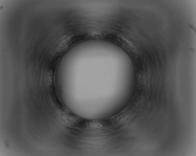 X0000091920702200709191340