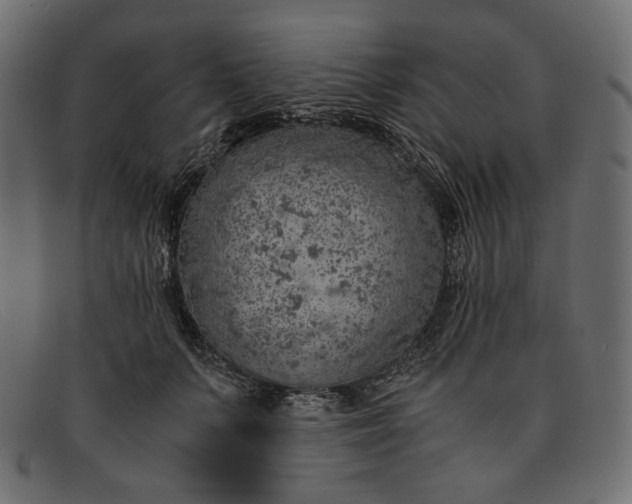 X0000091920703200709191340