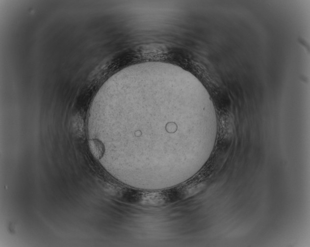 X0000091920705200709191340
