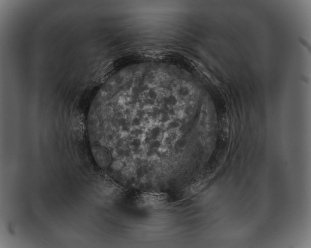 X0000091920707200709191340