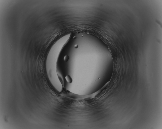 X0000091920708200709191340