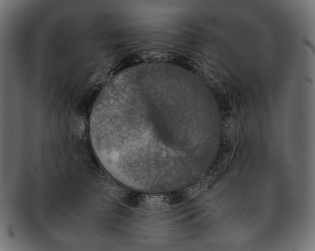X0000091920709200709191340