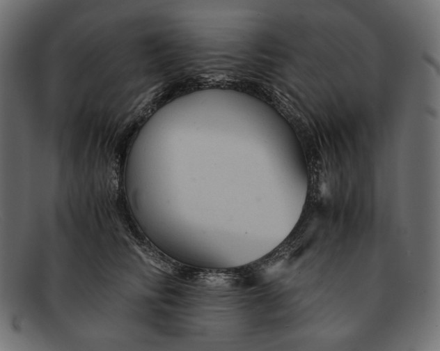 X0000091920710200709191340