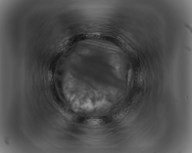 X0000091920711200709191340