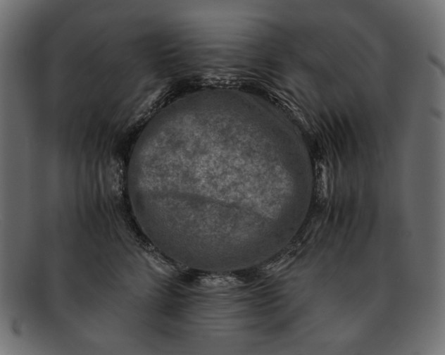 X0000091920712200709191340