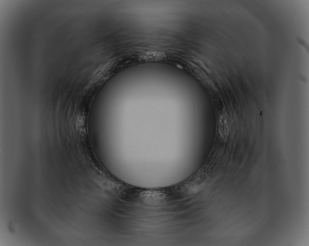 X0000091920714200709191340