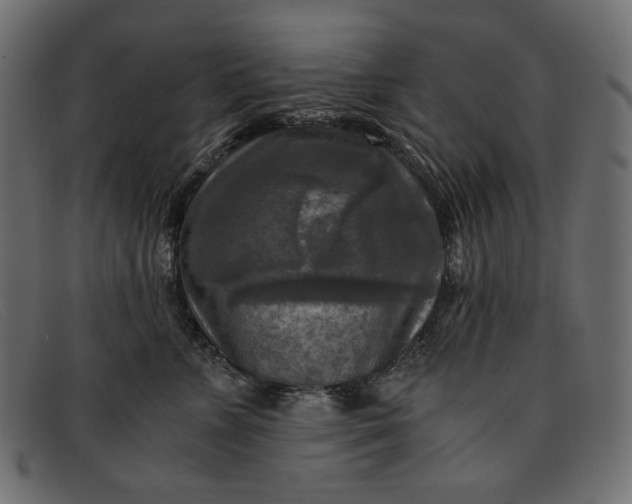 X0000091920715200709191339
