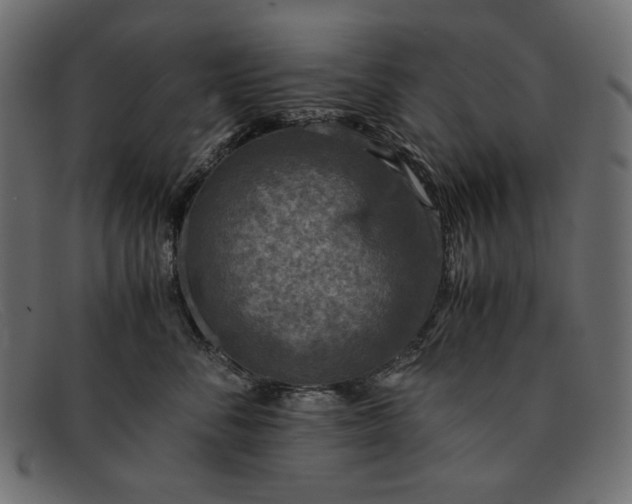 X0000091920716200709191339