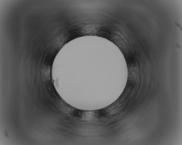 X0000091920717200709191339