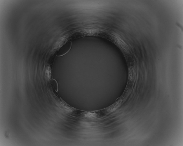 X0000091920718200709191339