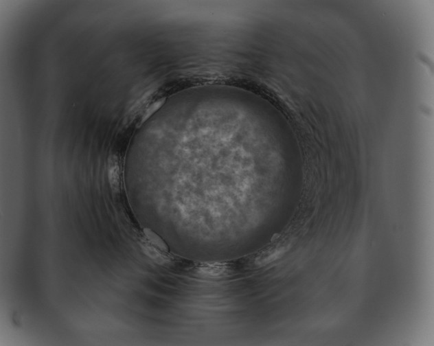 X0000091920720200709191339