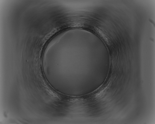 X0000091920721200709191339