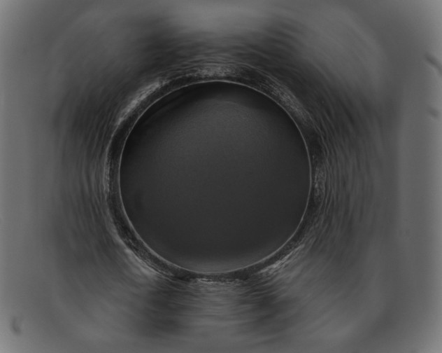 X0000091920722200709191339
