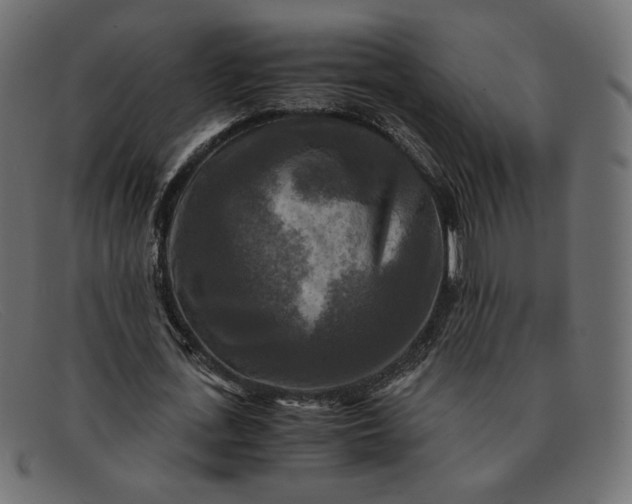 X0000091920723200709191339