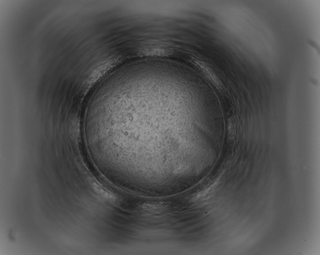 X0000091920725200709191339
