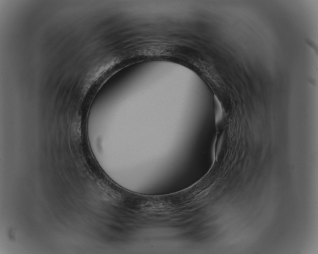 X0000091920727200709191339