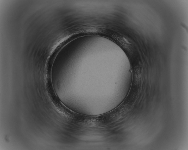 X0000091920728200709191339