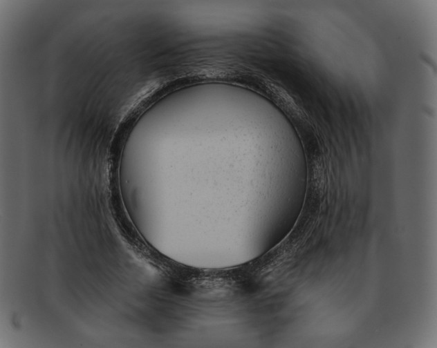 X0000091920730200709191339