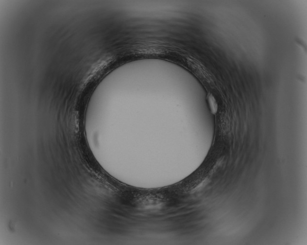 X0000091920731200709191339