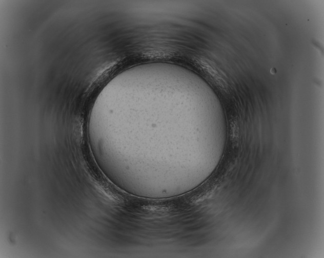 X0000091920733200709191339
