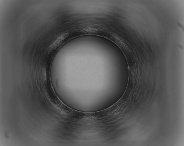 X0000091920734200709191339