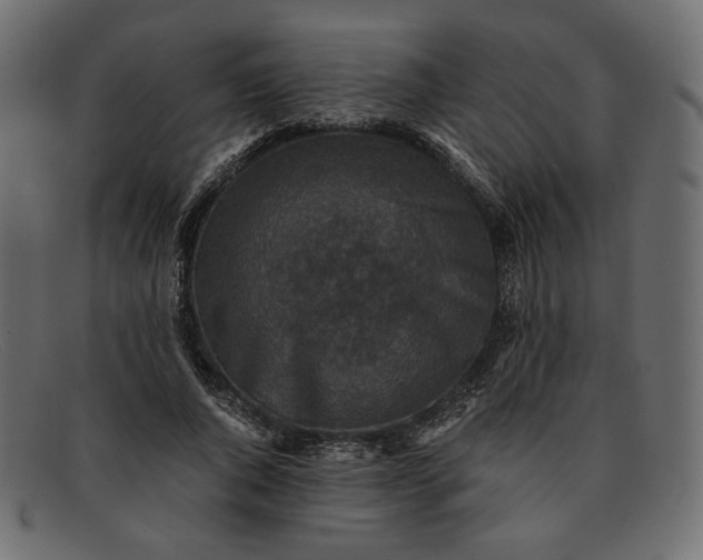 X0000091920736200709191339