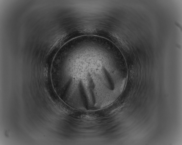 X0000091920739200709191339