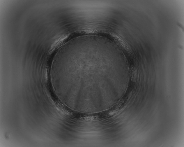 X0000091920740200709191339