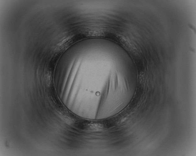 X0000091920741200709191339