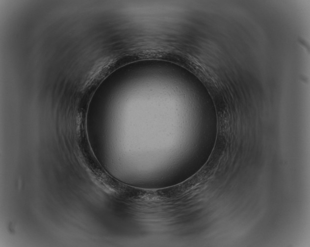 X0000091920742200709191339