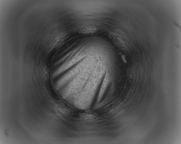 X0000091920743200709191339