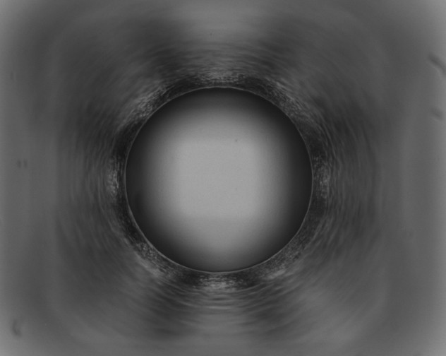 X0000091920746200709191339