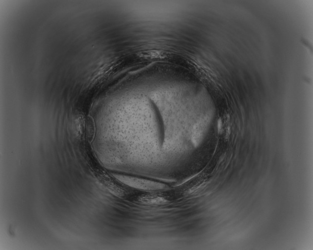 X0000091920747200709191339