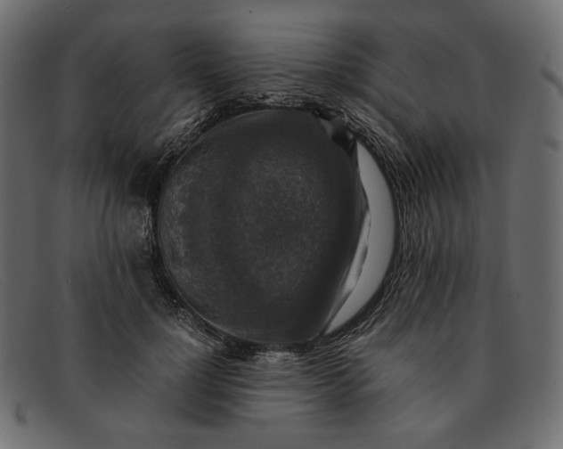 X0000091920748200709191339