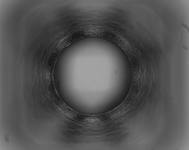 X0000091920749200709191339