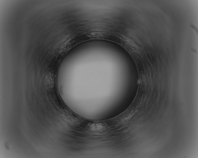 X0000091920751200709191339