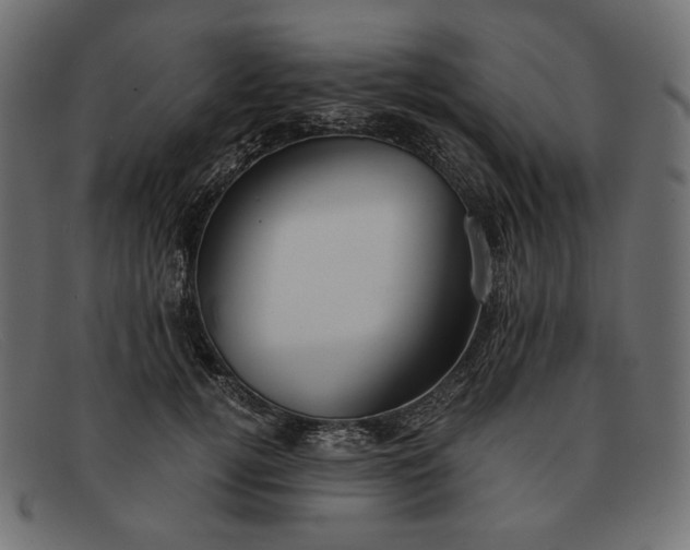 X0000091920752200709191339