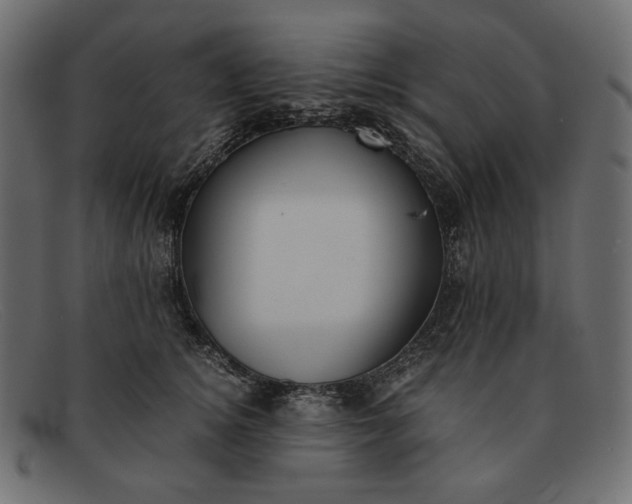 X0000091920756200709191339