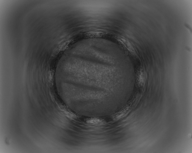 X0000091920759200709191339