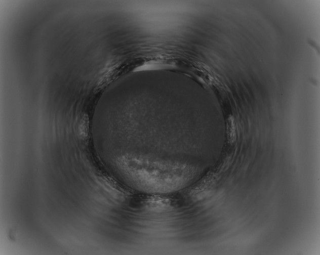 X0000091920760200709191339