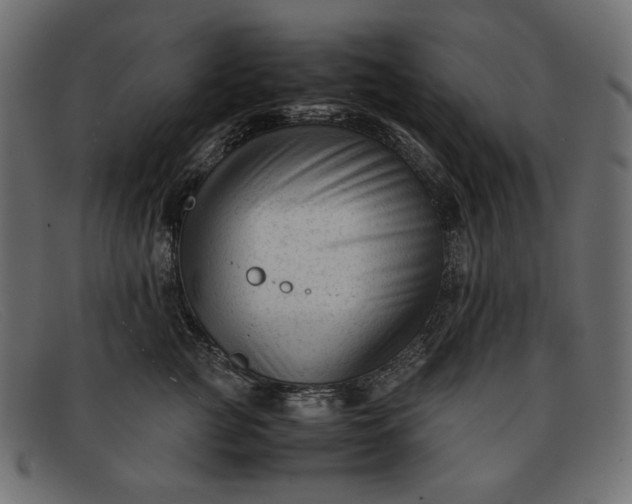 X0000091920761200709191339