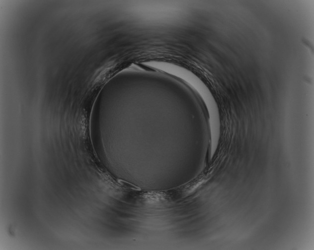 X0000091920762200709191339